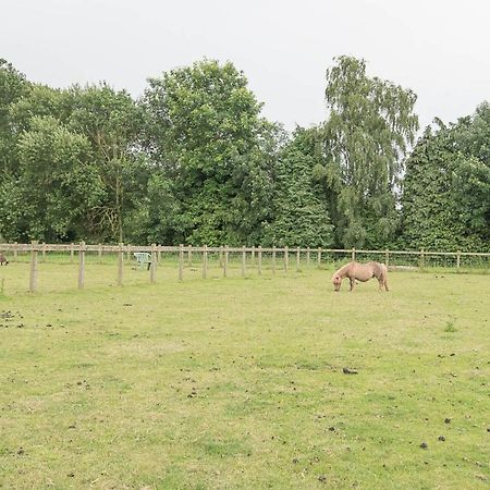 Grove Farm Bungalow With Swimming Pool, Dallinghoo วูดบริดจ์ ภายนอก รูปภาพ