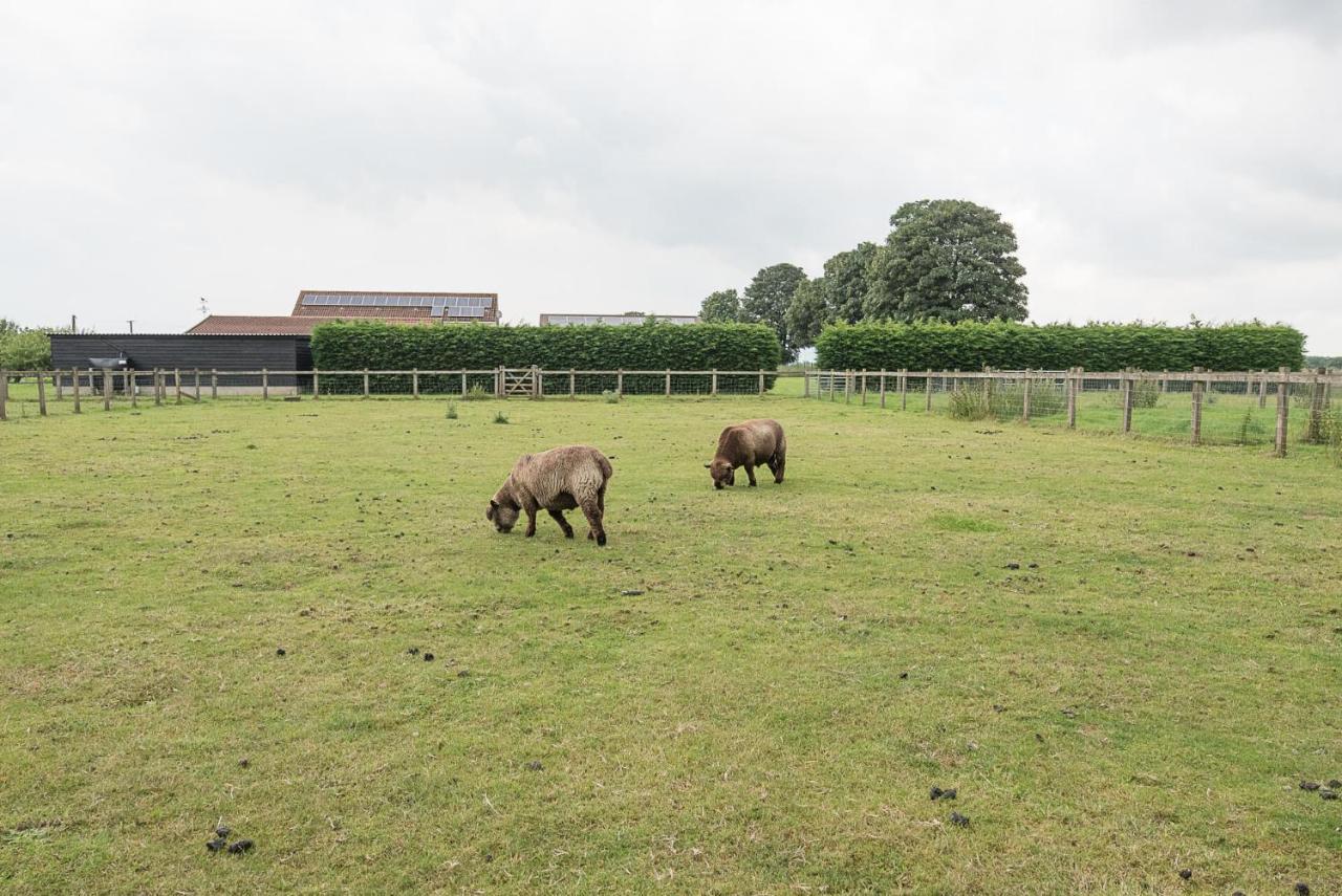 Grove Farm Bungalow With Swimming Pool, Dallinghoo วูดบริดจ์ ภายนอก รูปภาพ